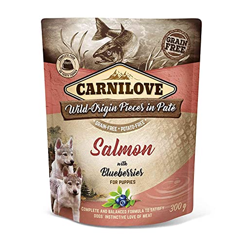 VAFO Praha s.r.o. CARNILOVE Dog SASZ.300G Lachs & Blaubeeren Puppie Nassfutter / 12 von CARNILOVE