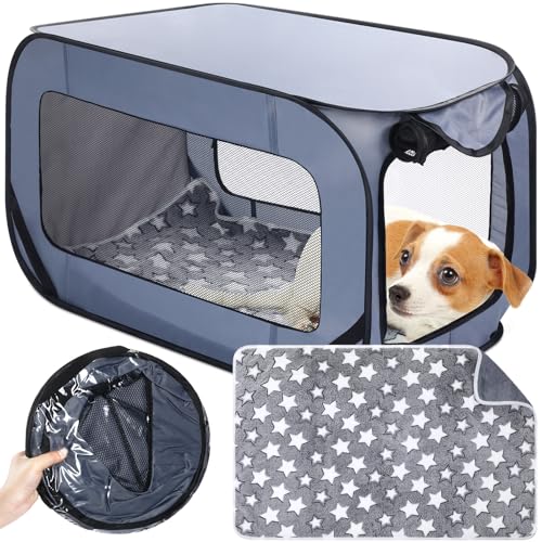 Briwooody Faltbare Hundebox mit Matte und Innenfutter, wasserdicht, tragbar, Autositz, Reisebox für Haustiere, für drinnen und draußen, Katzenbett-Kollektion, 94 cm, Grau Briwooody Faltbare Hundebox mit Matte und Innenfutter, wasserdicht, tragbar, Autositz, Reisebox für Haustiere, für drinnen und draußen, Katzenbett-Kollektion, 94 cm, Grau von Briwooody