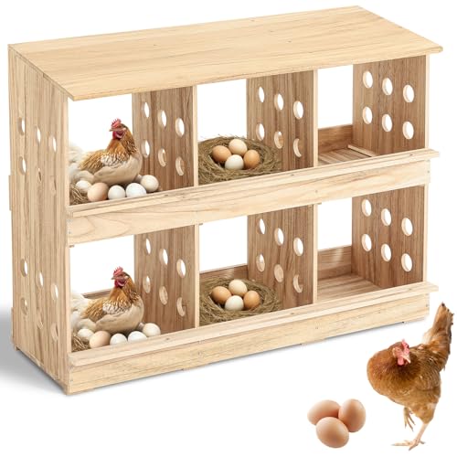Briwooody Hühner Nistkästen Holz 6 Fächer Hühner Nistkästen für Hühner, Hühnerstall für Eiersammlung Eierlegen für Hühner, Hühner Briwooody Hühner Nistkästen Holz 6 Fächer Hühner Nistkästen für Hühner, Hühnerstall für Eiersammlung Eierlegen für Hühner, Hühner von Briwooody