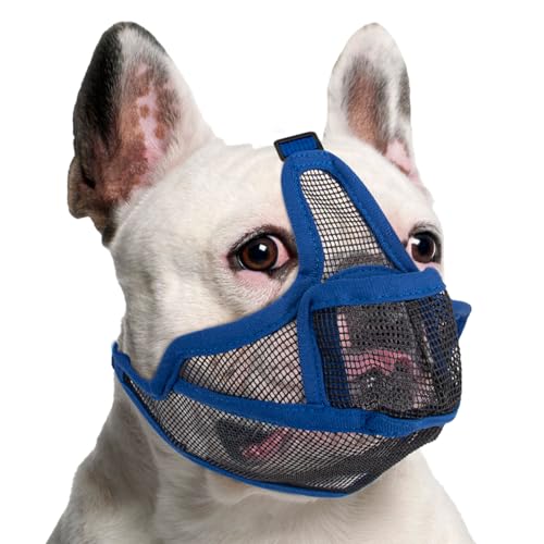 Maulkorb Hunde mit Kurzer Schnauze für Französische Bulldogge und Pitbulls, Abgeflachter Schnauze Hunde Maulkorb für Shih Tzu und Mops, Anti Beißen Kauen Bellen, ermöglichen Atmen und Trinken (Blau,M) Maulkorb Hunde mit Kurzer Schnauze für Französische Bulldogge und Pitbulls, Abgeflachter Schnauze Hunde Maulkorb für Shih Tzu und Mops, Anti Beißen Kauen Bellen, ermöglichen Atmen und Trinken (Blau,M) von BrooBirder