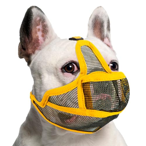 Maulkorb Hunde mit Kurzer Schnauze für Französische Bulldogge und Pitbulls, Abgeflachter Schnauze Hunde Maulkorb für Shih Tzu und Mops, Anti Beißen Kauen Bellen, ermöglichen Atmen und Trinken (Gelb,L) Maulkorb Hunde mit Kurzer Schnauze für Französische Bulldogge und Pitbulls, Abgeflachter Schnauze Hunde Maulkorb für Shih Tzu und Mops, Anti Beißen Kauen Bellen, ermöglichen Atmen und Trinken (Gelb,L) von BrooBirder