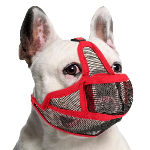Maulkorb Hunde mit Kurzer Schnauze für Französische Bulldogge und Pitbulls, Abgeflachter Schnauze Hunde Maulkorb für Shih Tzu und Mops, Anti Beißen Kauen Bellen, ermöglichen Atmen und Trinken (Rot,XS) Maulkorb Hunde mit Kurzer Schnauze für Französische Bulldogge und Pitbulls, Abgeflachter Schnauze Hunde Maulkorb für Shih Tzu und Mops, Anti Beißen Kauen Bellen, ermöglichen Atmen und Trinken (Rot,XS) von BrooBirder
