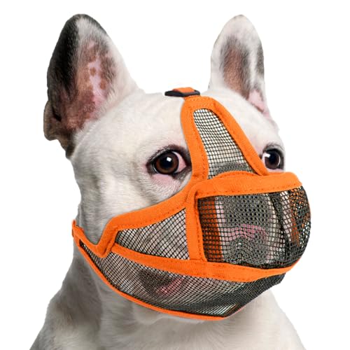 Maulkorb Hunde mit Kurzer Schnauze für Französische Bulldogge und Pitbulls, Abgeflachter Schnauze Hunde Maulkorb für Shih Tzu und Mops,Anti Beißen Kauen Bellen,ermöglichen Atmen und Trinken,Orange XXS Maulkorb Hunde mit Kurzer Schnauze für Französische Bulldogge und Pitbulls, Abgeflachter Schnauze Hunde Maulkorb für Shih Tzu und Mops,Anti Beißen Kauen Bellen,ermöglichen Atmen und Trinken,Orange XXS von BrooBirder