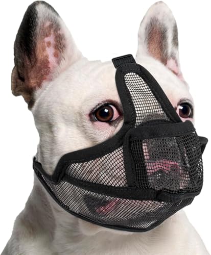 Maulkorb Hunde mit Kurzer Schnauze für Französische Bulldogge und Pitbulls,Abgeflachter Schnauze Hunde Maulkorb für Shih Tzu und Mops,Anti Beißen Kauen Bellen,ermöglichen Atmen und Trinken,Schwarz XXS Maulkorb Hunde mit Kurzer Schnauze für Französische Bulldogge und Pitbulls,Abgeflachter Schnauze Hunde Maulkorb für Shih Tzu und Mops,Anti Beißen Kauen Bellen,ermöglichen Atmen und Trinken,Schwarz XXS von BrooBirder