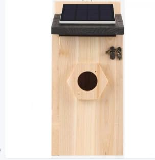 Nistkasten für Wildvögel, Nistkästen für Vögel für draußen wetterfest, Vogelhaus zum aufhängen, Großer nesträubersicherer, Nistkasten für Meise, Spatzen, Rotkehlchen, Wellensittich und Amsel Nistkasten für Wildvögel, Nistkästen für Vögel für draußen wetterfest, Vogelhaus zum aufhängen, Großer nesträubersicherer, Nistkasten für Meise, Spatzen, Rotkehlchen, Wellensittich und Amsel von BrooBirder