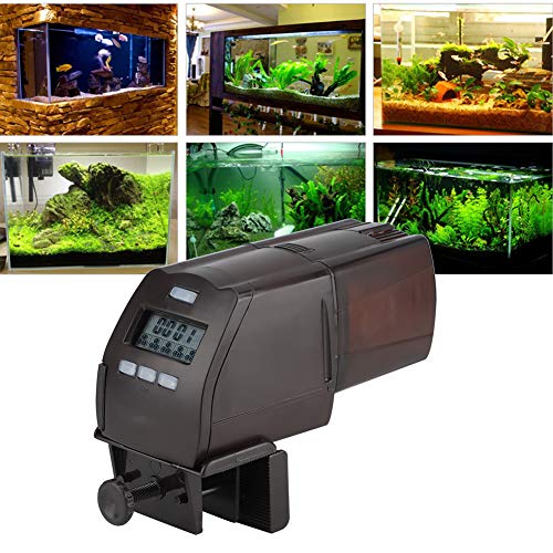 Automatische Fischfutterautomaten, Intelligente Elektrische LCD -Feeder Autodreser Fischfutter -Ferien Feeder mit Befestigungsclip für Fischtankaquarium Automatische Fischfutterautomaten, Intelligente Elektrische LCD -Feeder Autodreser Fischfutter -Ferien Feeder mit Befestigungsclip für Fischtankaquarium von Brrnoo