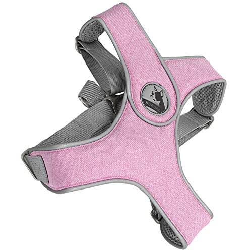 Brrnoo Hundekabelbaum und Leine Set, Reflektierende Haustier -Leine -Weste Welpengurt Hunde Weste Gurt Verstellbares Atmungsaktives Katzenhund Im Freien Walking Gurt für Kleine Mittelgroße Hunde (XS) von Brrnoo