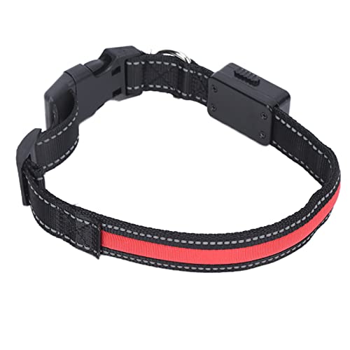 Brrnoo Lichthundkragen, USB Wiederaufladbare LED -Hundekragen Hundekragen für Kleine Hunde Im Dunklen Verstellbar Beleuchtetes Sicherheitskragen für Nächtliche Gehen Camping Leuchten (M) von Brrnoo
