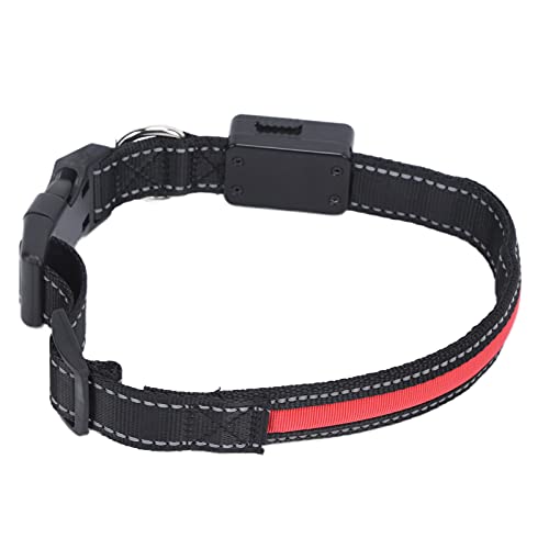 Brrnoo Lichthundkragen, USB Wiederaufladbare LED -Hundekragen Hundekragen für Kleine Hunde Im Dunklen Verstellbar Beleuchtetes Sicherheitskragen für Nächtliche Gehen Camping Leuchten (S) von Brrnoo