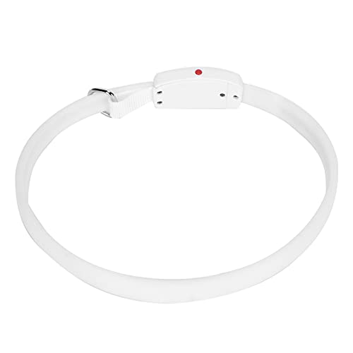 Brrnoo Leuchtender LED Hundekragen mit USB-Wiederaufladung, Wiederverwendbare Sicherheitskette für kleine, mittlere und große Hunde bei Nacht von Brrnoo