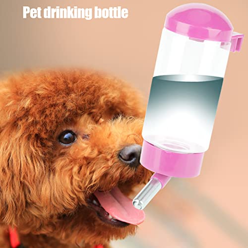 Häschen-Wasserflasche, Auslaufsicher, Automatische Tier-Wasserflaschen-Kugeldüse für Meerschweinchen, Hamster, Katzen, Haustiere, mit ABS-Material, 400 Ml Fassungsvermögen Häschen-Wasserflasche, Auslaufsicher, Automatische Tier-Wasserflaschen-Kugeldüse für Meerschweinchen, Hamster, Katzen, Haustiere, mit ABS-Material, 400 Ml Fassungsvermögen von Brrnoo