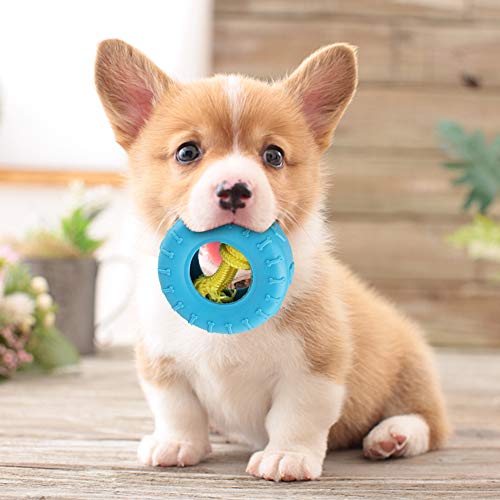 Hunde Reifenspielzeug, Interaktives Fetch Play Treat Spenser Pull Toys Seil Hundespielzeug Katze Kaute Seil Welpe Ziehen Kauspielzeug mit Seilen Aggressiv Hunde Reifenspielzeug, Interaktives Fetch Play Treat Spenser Pull Toys Seil Hundespielzeug Katze Kaute Seil Welpe Ziehen Kauspielzeug mit Seilen Aggressiv von Brrnoo