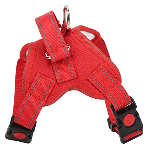 Hundekabelbaum, Einstellbare Reflektierende Oxford -Haustierkabelbaumpapiergurt und Leinen -Set Training Katze Wandergurt Haustier Sattelkabelbaum mit Einfachem Kontrollgriff für Hunde Haustiere (L Hundekabelbaum, Einstellbare Reflektierende Oxford -Haustierkabelbaumpapiergurt und Leinen -Set Training Katze Wandergurt Haustier Sattelkabelbaum mit Einfachem Kontrollgriff für Hunde Haustiere (L von Brrnoo