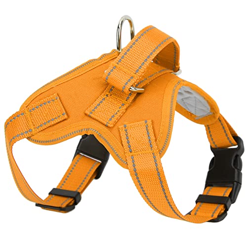 Hundekabelbaum, Einstellbare Reflektierende Oxford -Haustierkabelbaumpapiergurt und Leinen -Set Training Katze Wandergurt Haustier Sattelkabelbaum mit Einfachem Kontrollgriff für Hunde Haustiere (L Hundekabelbaum, Einstellbare Reflektierende Oxford -Haustierkabelbaumpapiergurt und Leinen -Set Training Katze Wandergurt Haustier Sattelkabelbaum mit Einfachem Kontrollgriff für Hunde Haustiere (L von Brrnoo