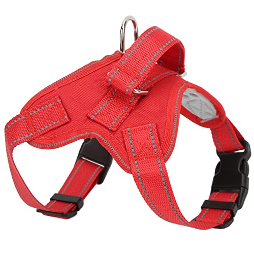 Hundekabelbaum, Einstellbare Reflektierende Oxford -Haustierkabelbaumpapiergurt und Leinen -Set Training Katze Wandergurt Haustier Sattelkabelbaum mit Einfachem Kontrollgriff für Hunde Haustiere (M Hundekabelbaum, Einstellbare Reflektierende Oxford -Haustierkabelbaumpapiergurt und Leinen -Set Training Katze Wandergurt Haustier Sattelkabelbaum mit Einfachem Kontrollgriff für Hunde Haustiere (M von Brrnoo