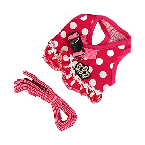 Hundekabelbaum Mittelgroßer Hund, Punkt Haustier Weste Traktion Seil Set Hundegurt für Kleine Hunde Welpenkabelbaum und Leinen Atmungsaktive Punkte Design Welpenwestegürtel Zum Gehen, Laufen (XL) von Brrnoo