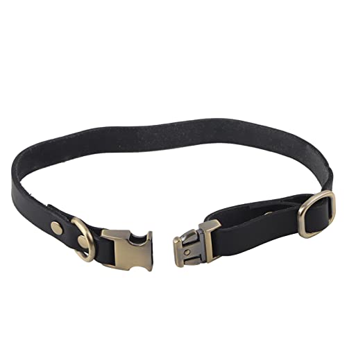 Lederhundkragen für Kleine Hunde, Weiche, Atmungsaktive Gepolsterte Leder -Haustierkragen Weich (L) von Brrnoo