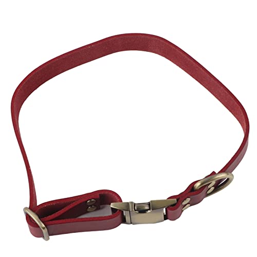 Lederhundkragen für Kleine Hunde, Weiche, Atmungsaktive Gepolsterte Leder -Haustierkragen Weich (M) von Brrnoo