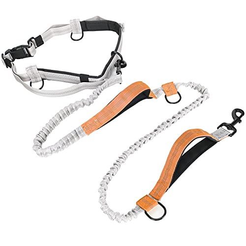 Taille Leine für Hundegasse, Stoßdämpferung Bungee Hunde Leine Taillengürtel Taille Doppelgriff Hunde Running Reflektierende Wanderleine mit Taillengürtel für Kleine Bis Große (Yellow) von Brrnoo