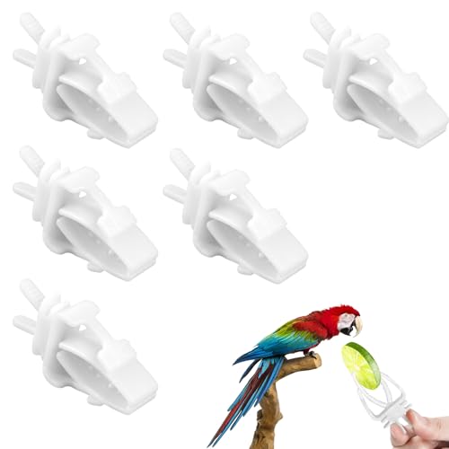 Vogelkäfig-Clips, Vogelkäfig-Futterhalter, für Papageien, Obst, Gemüse, weiße Käfige, Futterspender, Clip für Kakadu, Nymphensittiche, Wellensittiche, Sittiche, Aras, Sittiche, Aras, Sittiche, Ara, 6 Vogelkäfig-Clips, Vogelkäfig-Futterhalter, für Papageien, Obst, Gemüse, weiße Käfige, Futterspender, Clip für Kakadu, Nymphensittiche, Wellensittiche, Sittiche, Aras, Sittiche, Aras, Sittiche, Ara, 6 von Bruislard