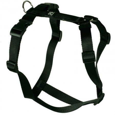 Brustgeschirr Feltmann Soft Nylonband, Uni Schwarz, 55-75cm, 20mm Brustgeschirr Feltmann Soft Nylonband, Uni Schwarz, 55-75cm, 20mm von Brustgeschirr