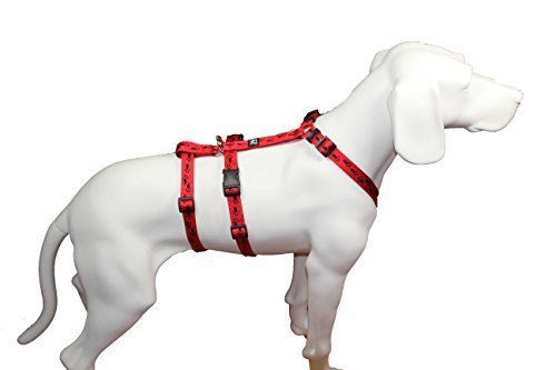 Feltmann NoExit Hundegeschirr Pfötchen, rot, 15mm/35-50cm von brustgeschirr.com