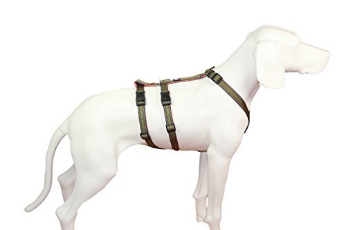 Feltmann NoExit Hundegeschirr Soft-Muster, Khaki, 25mm/60-80cm von Brustgeschirr