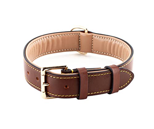 Brute Strength Hundehalsband aus Leder - Braun - L - 46-53 cm von Brute Strength