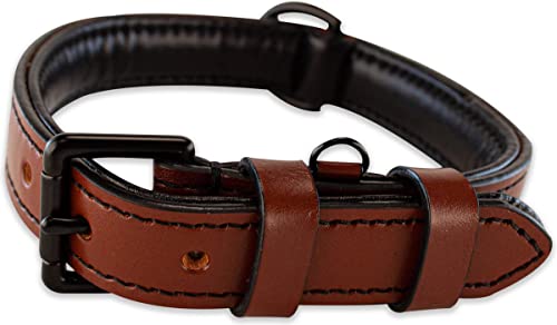 Brute Strength Hundehalsband aus Leder - Braun mit schwarzen Nähten - M - 36-43 cm von Brute Strength
