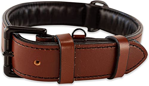 Brute Strength Hundehalsband aus Leder - Braun mit schwarzen Nähten - XXL - 66-73 cm Brute Strength Hundehalsband aus Leder - Braun mit schwarzen Nähten - XXL - 66-73 cm von Brute Strength
