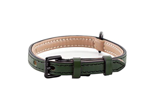 Brute Strength Hundehalsband aus Leder - Dunkelgrün - S - 26-33 cm Brute Strength Hundehalsband aus Leder - Dunkelgrün - S - 26-33 cm von Brute Strength