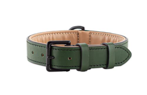 Brute Strength Hundehalsband aus Leder - Dunkelgrün - XL - 56-63 cm von Brute Strength