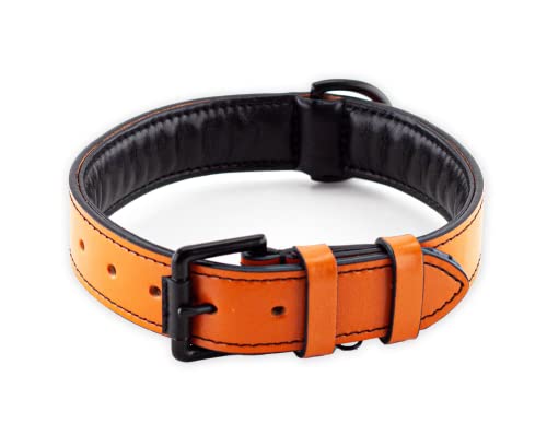 Brute Strength Hundehalsband aus Leder - Orange - L - 46-53 cm von Brute Strength