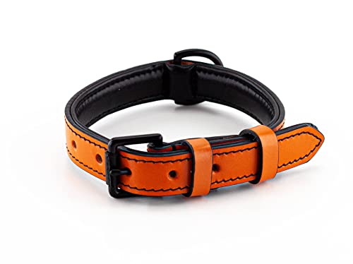 Brute Strength Hundehalsband aus Leder - Orange - M - 36-43 cm von Brute Strength