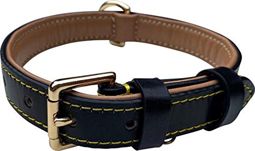 Brute Strength Hundehalsband aus Leder - Schwarz mit gelben Nähten - M - 36-43 cm von Brute Strength