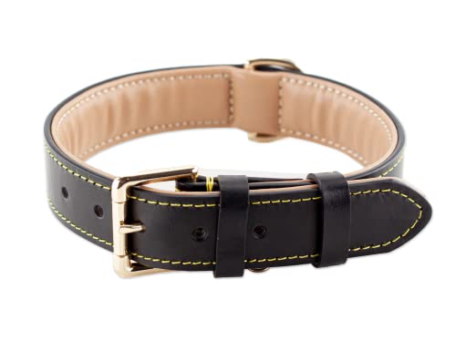 Brute Strength Hundehalsband aus Leder - Schwarz mit gelben Nähten - XL - 56-63 cm von Brute Strength