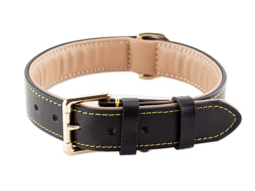 Brute Strength Hundehalsband aus Leder - Schwarz mit gelben Nähten - XL - 56-63 cm Brute Strength Hundehalsband aus Leder - Schwarz mit gelben Nähten - XL - 56-63 cm von Brute Strength