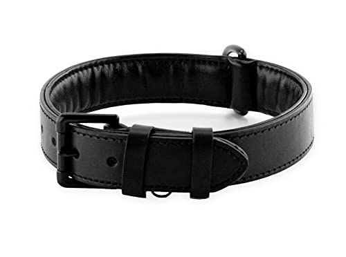 Brute Strength Hundehalsband aus Leder - Schwarz mit schwarzen Nähten - L - 46-53 cm von Brute Strength