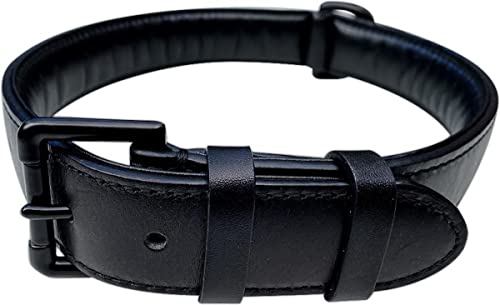 Brute Strength Hundehalsband aus Leder - Schwarz mit schwarzen Nähten - M - 36-43 cm von Brute Strength