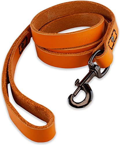 Leder Hundeleine - mit Naht - 140cm - Orange/schwarz von Brute Strength