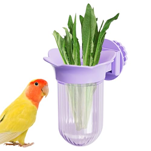 Bird Cage Bowls, Bird Feeding Cup Feeder, Compact Clamp-On Food Water Container, Durable Easy-Clean Design, for Budgies, Cockatiels, Finches, Conures and Small Pets Bird Cage Bowls, Bird Feeding Cup Feeder, Compact Clamp-On Food Water Container, Durable Easy-Clean Design, for Budgies, Cockatiels, Finches, Conures and Small Pets von Bsbkoj
