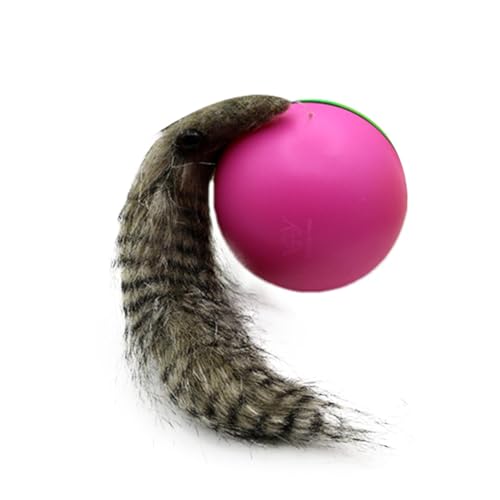 Bsbkoj Interactive Cat Toy Ball, Automatic Rolling Smart Pet, Nutria Kitten Ball,8.27x3.35 Inches Portable Convenient Playful Battery Powered Toy for Exercise, Playing and Relaxing Bsbkoj Interactive Cat Toy Ball, Automatic Rolling Smart Pet, Nutria Kitten Ball,8.27x3.35 Inches Portable Convenient Playful Battery Powered Toy for Exercise, Playing and Relaxing von Bsbkoj