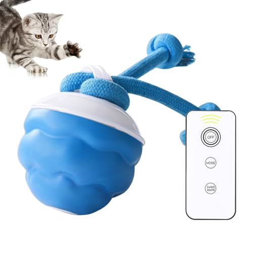 Bsbkoj Interaktiver Ball für Hunde – elektrischer mobiler Ball für die Verfolgung von Hunden | Trainingszubehör und Kauspielzeug für Welpen, und leise für den Bsbkoj Interaktiver Ball für Hunde – elektrischer mobiler Ball für die Verfolgung von Hunden | Trainingszubehör und Kauspielzeug für Welpen, und leise für den von Bsbkoj