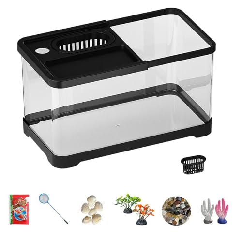 Bsbkoj Starter-Set für Aquarien, kompakt, Starter-Set mit LED-Beleuchtung und Dekorationen, dekoratives Set aus Glas, hohe Transparenz, für Büro, Haus, Wohnzimmer Bsbkoj Starter-Set für Aquarien, kompakt, Starter-Set mit LED-Beleuchtung und Dekorationen, dekoratives Set aus Glas, hohe Transparenz, für Büro, Haus, Wohnzimmer von Bsbkoj