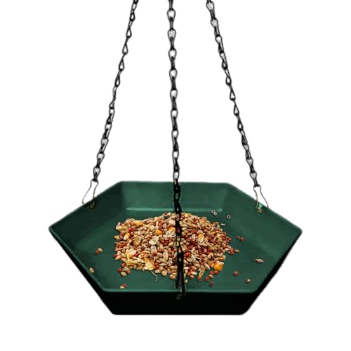 Bsbkoj Vogeltränke für Garten | Polygonale Tränke für Vögel, Gartendekoration zum Aufhängen für Balkon, Terrasse, Park, Vogelbeobachter Bsbkoj Vogeltränke für Garten | Polygonale Tränke für Vögel, Gartendekoration zum Aufhängen für Balkon, Terrasse, Park, Vogelbeobachter von Bsbkoj