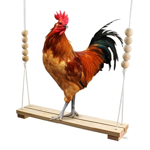 Chicken Swing, Natural Wooden Poultry Swings Sitzstange, 15,55 x 2,76 x 43,31 Zoll, niedlich, kompakt, Chicken Coop, Dschungel, Fitnessstudio, Spielzeug für Chicks Hens, Backyard Patio Habitat Chicken Swing, Natural Wooden Poultry Swings Sitzstange, 15,55 x 2,76 x 43,31 Zoll, niedlich, kompakt, Chicken Coop, Dschungel, Fitnessstudio, Spielzeug für Chicks Hens, Backyard Patio Habitat von Bsbkoj