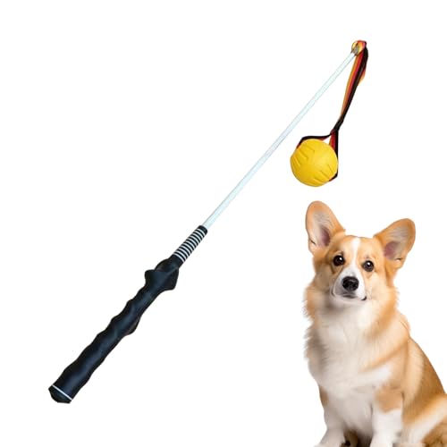 Flirt Pole, große Hunde-Teaserpole, niedliches Outdoor-Hunde-Spielzeug, 81,5 x 3,7 x 4,5 cm, interaktives Puppy Tug of War, Übungs-Spielzeug für Haustiere, für Hundehütten Flirt Pole, große Hunde-Teaserpole, niedliches Outdoor-Hunde-Spielzeug, 81,5 x 3,7 x 4,5 cm, interaktives Puppy Tug of War, Übungs-Spielzeug für Haustiere, für Hundehütten von Bsbkoj