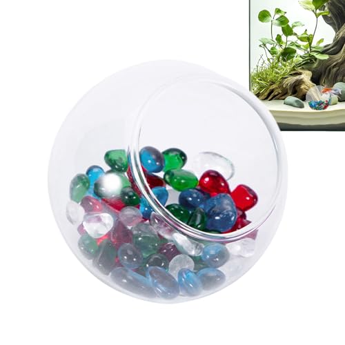 Glass Betta Cave Ornament, Fish Tank Accessory, 5,9 x 5,9 cm, niedliches kompaktes schwarzes Shrimps Nest, Hermit Crab Habitat, Blacks Shrimp Sleeping Nest für Aquatic Life Glass Betta Cave Ornament, Fish Tank Accessory, 5,9 x 5,9 cm, niedliches kompaktes schwarzes Shrimps Nest, Hermit Crab Habitat, Blacks Shrimp Sleeping Nest für Aquatic Life von Bsbkoj