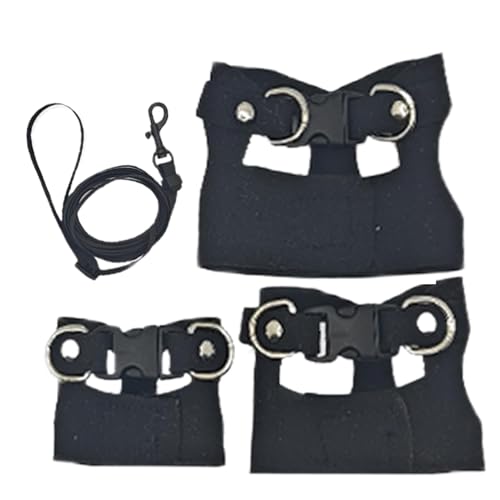 Hundegeschirr mit Bartagamen, verstellbare Traktionsleine, 12 x 12 x 2 cm, für kleine Haustiere, Chamäleons, Meerschweinchen, Hamster, Frettchen, Outdoor-Training, Leder Hundegeschirr mit Bartagamen, verstellbare Traktionsleine, 12 x 12 x 2 cm, für kleine Haustiere, Chamäleons, Meerschweinchen, Hamster, Frettchen, Outdoor-Training, Leder von Bsbkoj