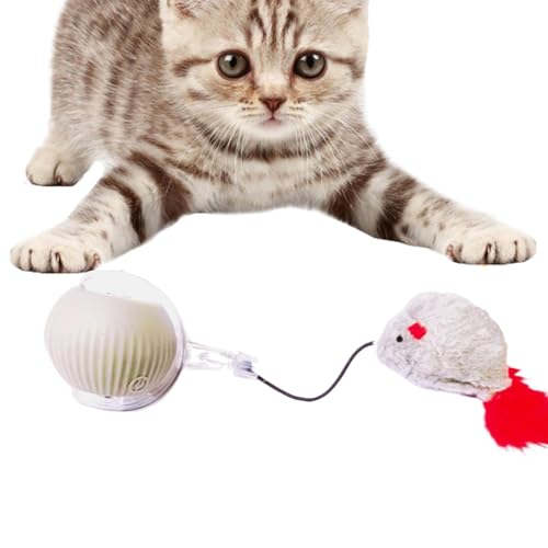 Interactive Cat Toys Ball, Automatic Rolling Cat Ball, Smart Cat Toys with Lights, Rechargeable Cat Ball Toy, LED Cat Teasing Ball, Indoor Cat Toys Ball, Intelligent Cat Ball Toy, Silikon Cat Toy Interactive Cat Toys Ball, Automatic Rolling Cat Ball, Smart Cat Toys with Lights, Rechargeable Cat Ball Toy, LED Cat Teasing Ball, Indoor Cat Toys Ball, Intelligent Cat Ball Toy, Silikon Cat Toy von Bsbkoj